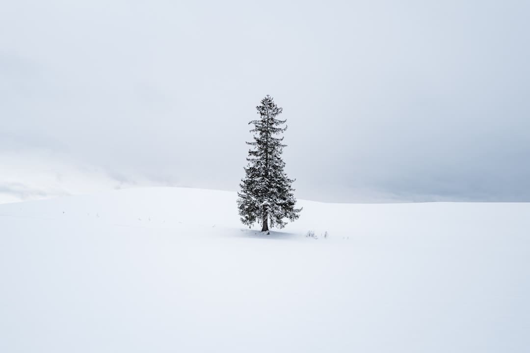 盖尔·加朵回应《白雪公主》票房惨败